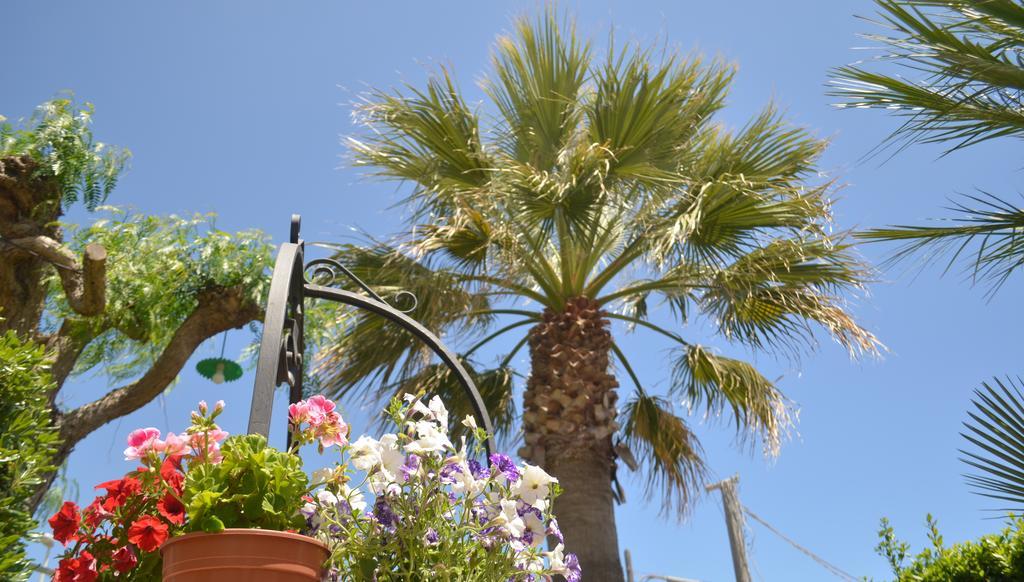 Ansise Guest House Lido di Noto Екстер'єр фото